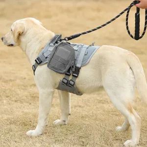 Adventure Paws: Tactical Dog Harness - Your Perfect Outdoor Training and Walking Companion for Medium and Large Dogs!